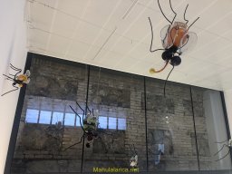 Exposición de Flyppy 2023